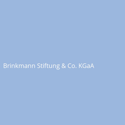 Brinkmann Stiftung & Co. KGaA