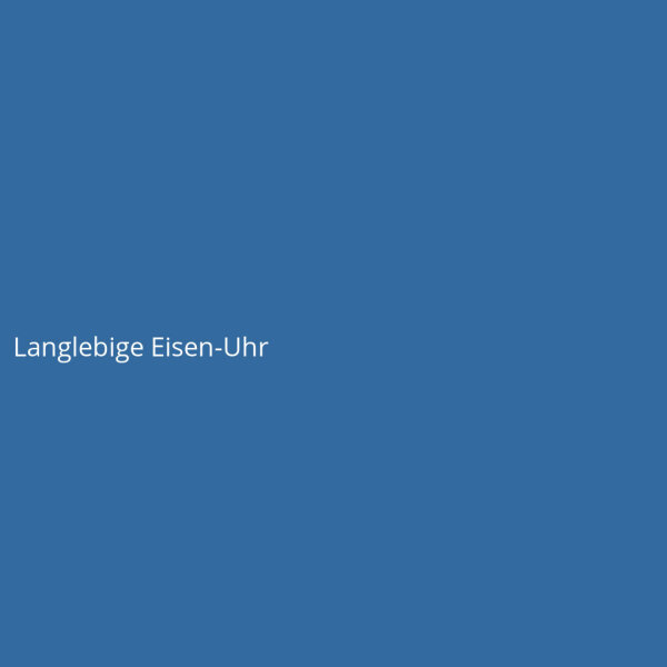 Langlebige Eisen-Uhr
