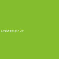 Langlebige Eisen-Uhr
