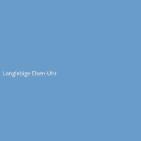 Langlebige Eisen-Uhr