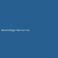 Mittelm&auml;&szlig;iger Marmor-Hut