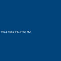 Mittelm&auml;&szlig;iger Marmor-Hut